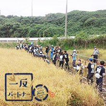 カシオ計算機株式会社さんご支援の「一反パートナー」の田んぼで稲刈りを行いました。