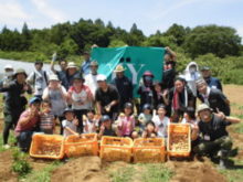 茨城・石岡の豆の木農園さんでヤマト運輸労働組合茨城支部のみなさんが農作業ボランティアを行いました。